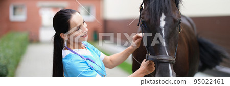 Woman veterinarian holding reins of horse at farm Woman veterinarian holding reins of horse at farm 95022461