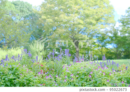 鮮花風景 久留米石科文化中心 鮮花風景 久留米石科文化中心 95022673