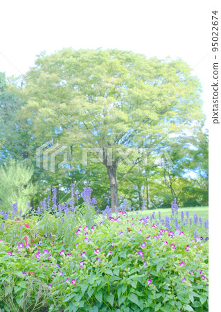 鮮花風景 久留米石科文化中心 鮮花風景 久留米石科文化中心 95022674