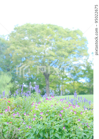 鮮花風景 久留米石科文化中心 鮮花風景 久留米石科文化中心 95022675