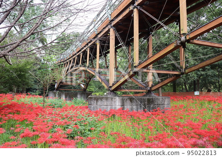 Kinchakuda Manjushage Park Aiai Bridge 95022813