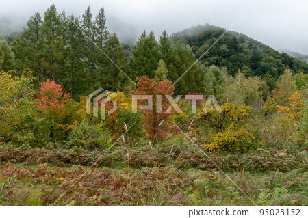 Autumn Norikura Kogen 95023152