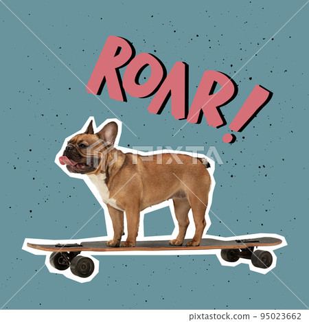 Freestyle. Artwork. One cute dog standing on skate. Animal in human life. Contemporary pop art collage, design in magazine style on color background. Animals with human emotions. Freestyle. Artwork. One cute dog standing on skate. Animal in human life. Contemporary pop art collage, design in magazine style on color background. Animals with human emotions. 95023662