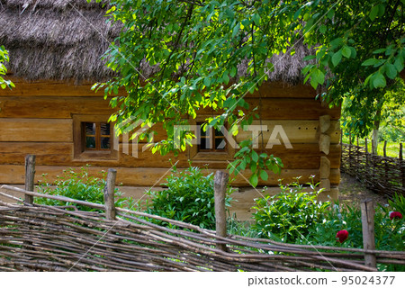 A typical Ukrainian landscape in spring or summer: white clay hut with a straw roof and a tree in the foreground. 95024377