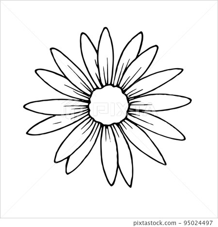 Autumn flowers EPS outline for the design of autumn products Autumn flowers EPS outline for the design of autumn products 95024497