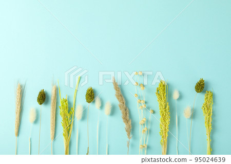 Concept or composition of Hygge with dried flowers Concept or composition of Hygge with dried flowers 95024639