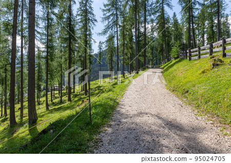 Mountain trekking itinerary Mountain trekking itinerary 95024705