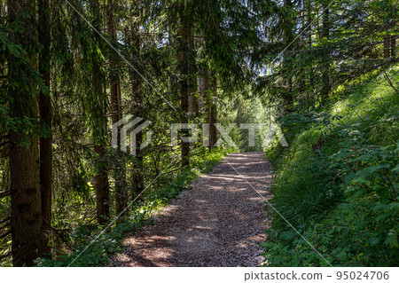 Mountain trekking itinerary Mountain trekking itinerary 95024706