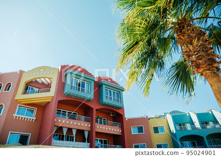 Colourful houses and palm tree in Hurghada, Egypt 95024901