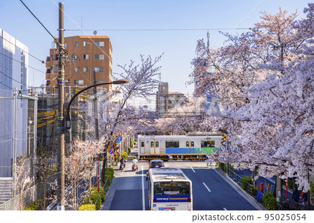 中野通櫻花和西武新宿線電車 95025054