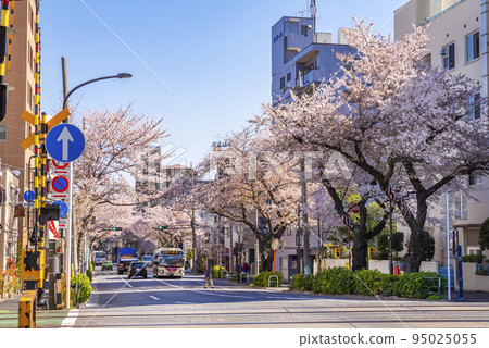 西武新宿線中野通和鐵路道口的櫻花樹 95025055