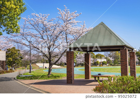 Scenery of Peace Forest Park with cherry blossoms (Nakano Ward, Tokyo) Scenery of Peace Forest Park with cherry blossoms (Nakano Ward, Tokyo) 95025072