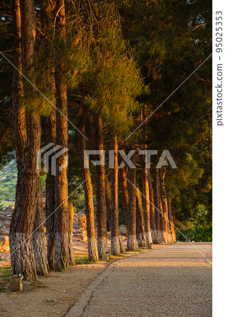 以弗所,土耳其風景 以弗所,土耳其風景 95025353