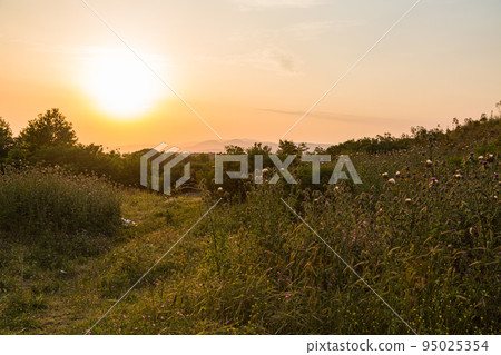 以弗所,土耳其風景 以弗所,土耳其風景 95025354