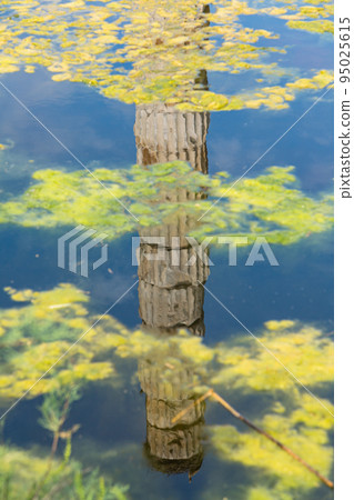 土耳其以弗所古城遺址中的阿爾忒彌斯神廟 95025615