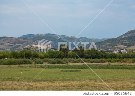 土耳其以弗所古城遺址周圍的風景 土耳其以弗所古城遺址周圍的風景 95025642