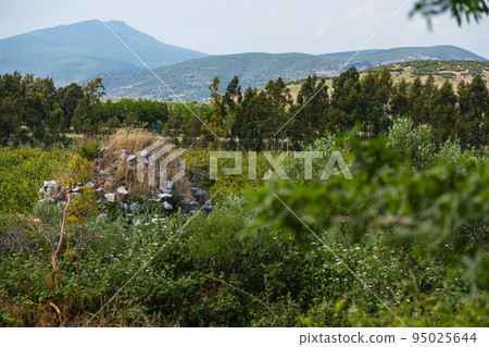 土耳其以弗所古城遺址周圍的風景 土耳其以弗所古城遺址周圍的風景 95025644