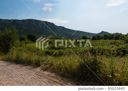 土耳其以弗所古城遺址周圍的風景 土耳其以弗所古城遺址周圍的風景 95025645