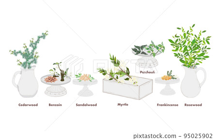 Cedarwood, Benzoin, Sandalwood, Myrtle, Patchouli, Frankincense, Rosewood Cedarwood, Benzoin, Sandalwood, Myrtle, Patchouli, Frankincense, Rosewood 95025902