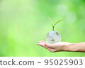 Young plant on crystal globe in hand with green background, concept for eco friendly business, green energy and climate change. 95025903