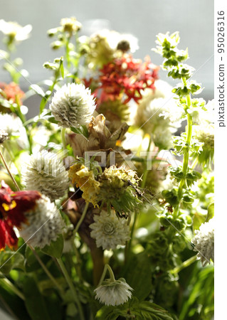 various flowers 95026316