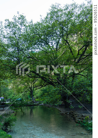 一條流經土耳其薩夫蘭博盧附近因塞卡亞託卡特里峽谷的河流 95026511