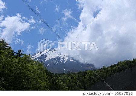 日本大峽谷 日本大峽谷 95027056
