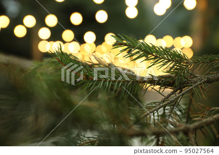 Beautiful park in mountain resort with blurred lights 95027564