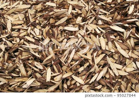 市場郊遊 95027844