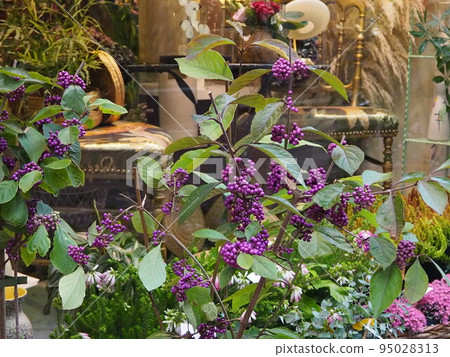 in the town of Colmar 95028313