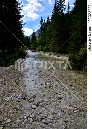 Alpine river in the valley 95028332