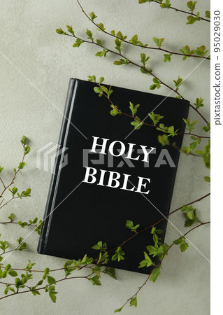 Book and twigs on light textured background 95029030