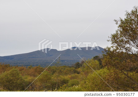 樽前山和秋葉 樽前山和秋葉 95030177