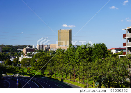 University building on hill 95030262