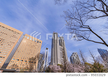 西新宿有櫻花和高層建築的新宿中央公園 西新宿有櫻花和高層建築的新宿中央公園 95031029