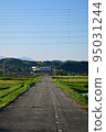 road countryside 95031244