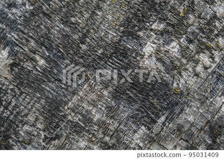 The texture of old plywood. The background is made The texture of old plywood. The background is made 95031409