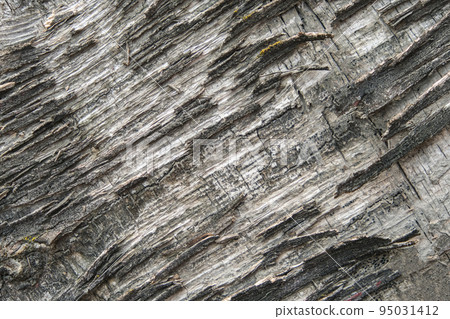 The texture of old plywood. The background is made The texture of old plywood. The background is made 95031412