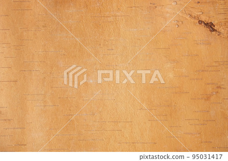 The texture of birch bark. Background of birch 95031417