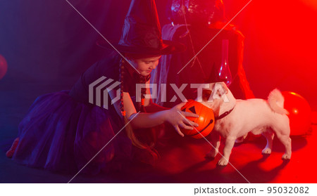 Halloween and celebration concept. Child girl in witch costume with Halloween pumpkin playing with dog jack russell terrier Halloween and celebration concept. Child girl in witch costume with Halloween pumpkin playing with dog jack russell terrier 95032082