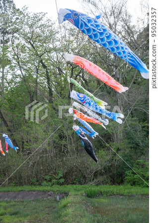 carp streamers fluttering in the wind carp streamers fluttering in the wind 95032357