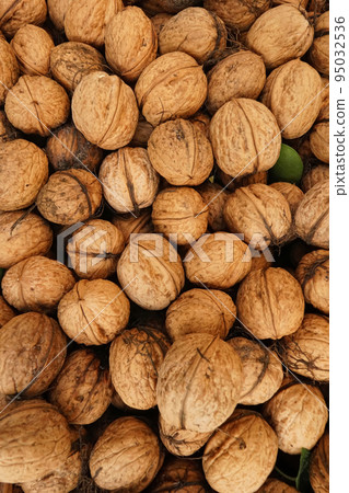 Closeup on a bunch of seasonal nutritional healthy brown closed walnuts collected form the garden Closeup on a bunch of seasonal nutritional healthy brown closed walnuts collected form the garden 95032536