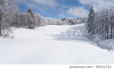The view from the Uenotaira slopes of Nozawa Onsen Ski Resort in Shimotakai District, Nagano Prefecture in winter 95032783