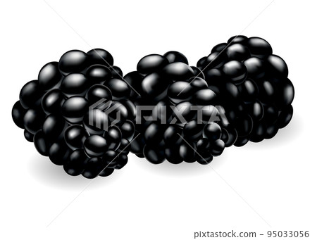 Fresh, sweet and tasty blackberry. Sweet fruit. Forest berry. 3d vector icon. Realistic illustration of eco food isolated on white 95033056