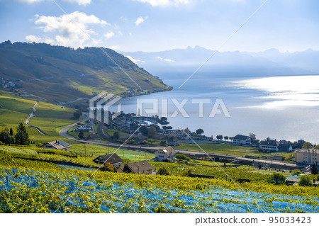 拉沃葡萄園和日內瓦湖（瑞士蒙特勒） 95033423