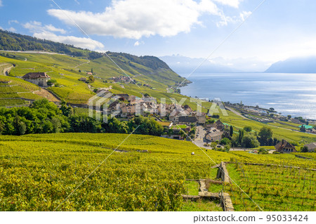 Lavaux vineyards and Lake Geneva (Switzerland) Lavaux vineyards and Lake Geneva (Switzerland) 95033424