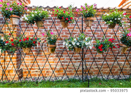 Hanging herb garden on the brick wall background 95033975