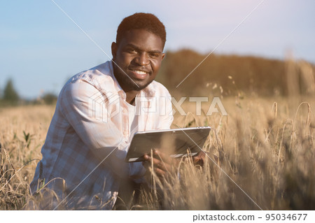 African American man explores huge wheat field smiling African American man explores huge wheat field smiling 95034677