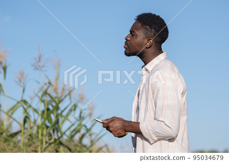 African American man enters information about corn harvest African American man enters information about corn harvest 95034679