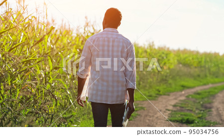 African American man walks past corn looking at plantation African American man walks past corn looking at plantation 95034756